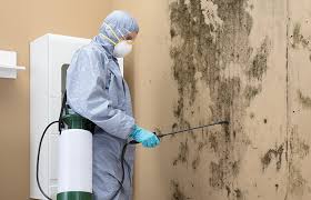 Best Crawl Space Mold Remediation in Huntertown, IN